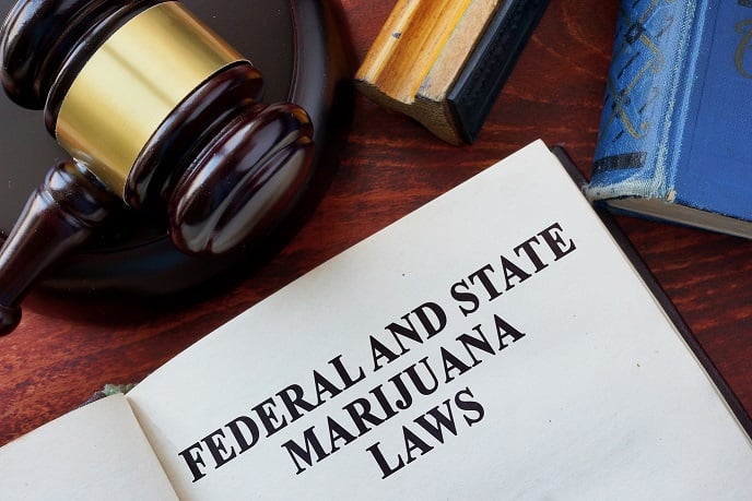 Conflicting federal and state marijuana laws Conflicting federal and state marijuana laws