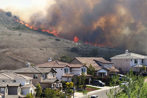 wildfire_image
